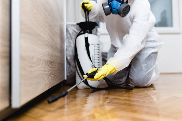 Pest Control Cost in Indian Lake, TX
