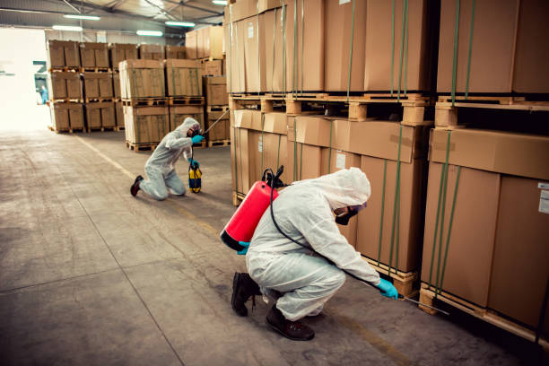 Best Wasp Removal Services  in Indian Lake, TX