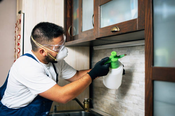 Best Local Pest Control Services  in Indian Lake, TX