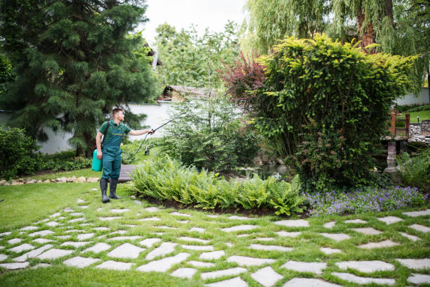 Best Exterminator Services  in Indian Lake, TX