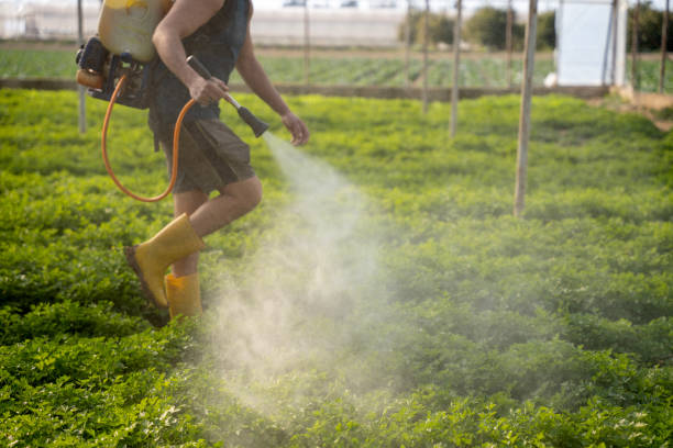 Indian Lake, TX Pest Control Company