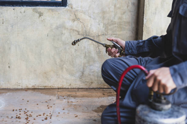 Best Pest Inspection Near Me  in Indian Lake, TX
